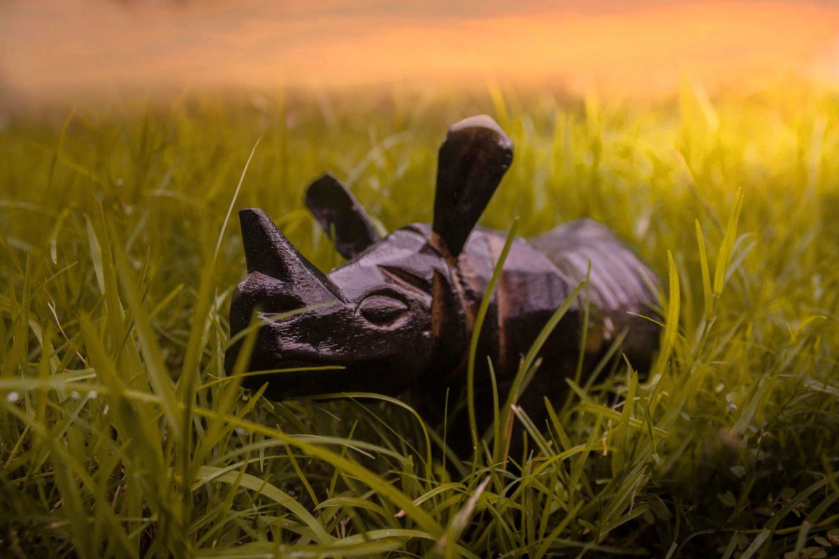 rhino handicraft