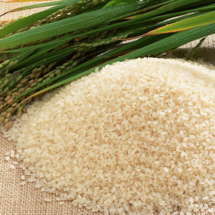 Aromatic rice of Assam